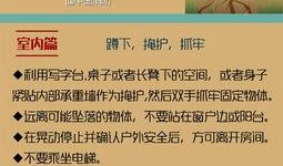 临沂地震最新爆料信息网,揭秘震源及影响动态