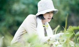 小森林在线观看免费观看,免费在线观看，共赴田园诗意之旅