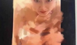 张隆前妻爆料原图视频下载,揭秘背后惊人真相