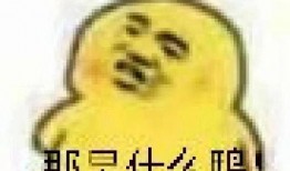 免费吃瓜表情包图片下载,轻松获取欢乐源泉！