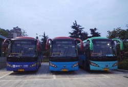 诸暨公交车爆料视频最新