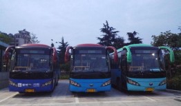 诸暨公交车爆料视频最新