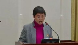 萍乡爆料副主任事件最新,真相发酵，官方调查进展如何？