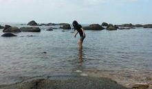 海角吃瓜真实视频下载免费,免费下载真实视频背后的故事