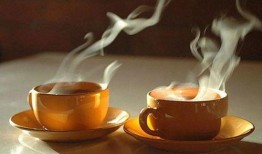 一杯潮茶爆料视频,一杯潮茶背后的故事与魅力