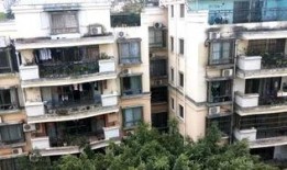 二楼花园爆料视频,独家爆料视频带你领略神秘花园风采