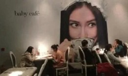 明星餐饮爆料事件视频,揭秘娱乐圈背后的奢华与争议