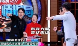 杨迪爆料醒法视频播放全集