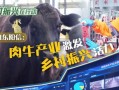 阳信牛肉爆料视频播放,揭秘视频播放背后的惊人数据