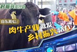 阳信牛肉爆料视频播放,揭秘视频播放背后的惊人数据