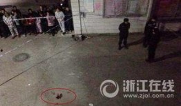 浙江温州爆料事件最新情况