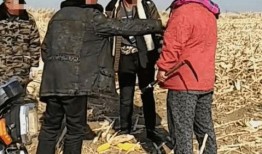 松原长岭最新爆料,揭秘背后惊人真相