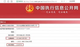 宝鹰集团员工爆料视频播放,揭秘企业内部真相