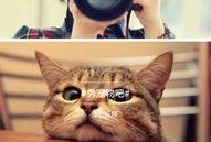 建模苍蝇小妹爆料视频,揭秘幕后真相