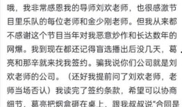 徐海星爆料那英姐姐视频,徐海星爆料背后故事