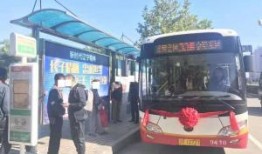 葫芦岛公交车爆料视频最新,真相揭秘！