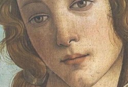 我的维纳斯在线观看,一场跨越时空的美丽邂逅