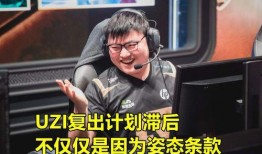 娱乐园爆料大佬是谁,揭秘幕后真相与神秘身份