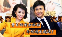 马丽老公爆料事件视频,揭秘娱乐圈背后的真相