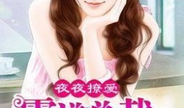 夜夜爱在线观看的