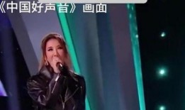 学生爆料明星事件视频,明星事件视频引发热议，真相究竟如何？