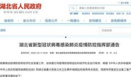 湖北最新爆料新闻事件,神秘事件引发社会关注