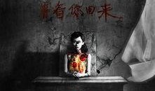 少女灵异日记在线观看,惊悚事件背后的真实真相