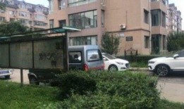 二楼花园爆料视频,独家爆料视频带你领略神秘花园风采