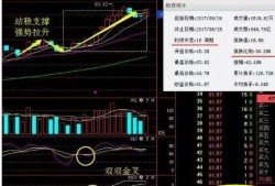 次新股最新爆料,潜力股盘点与投资策略解析