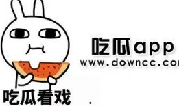 网红黑料吃瓜视频,吃瓜视频背后的真相与争议