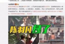 冤案爆料视频最新消息,真相逐渐浮出水面