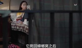 爆料小姐姐演员是谁啊视频,揭秘神秘女主角身份