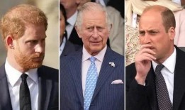 哈里王子最新爆料,揭秘权力斗争与真实情感