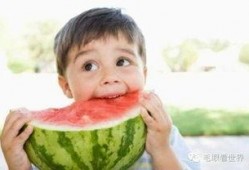 吃瓜网红故事梗概,网红吃瓜背后的故事揭秘