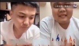 爆料小胖卖书视频,畅销书背后的故事与启示