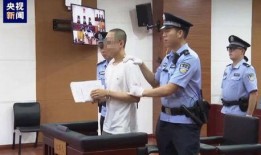 深圳吴先生爆料案件最新,最新进展揭秘，疑云重重引关注