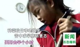 丑态新闻爆料入口,新闻爆料入口直击社会阴暗面