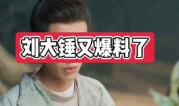 刘大锤爆料景甜视频,景甜私密视频引发热议