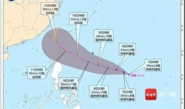 杭州双台风最新爆料,双面风暴，防御措施升级