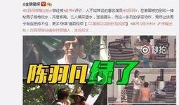 爆料揭阳出轨事件最新,最新爆料揭露惊人真相
