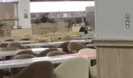 中学食堂爆料视频播放网站,视频爆料网站带你直击校园饮食真相