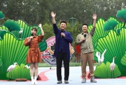 最新羊毛爆料图片欣赏视频,高清图片与视频带你领略时尚潮流