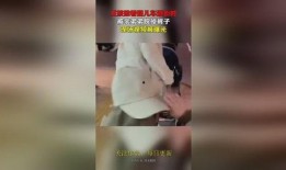 被亲弟弟爆料完整视频,亲弟弟曝光惊人视频，真相令人震惊！