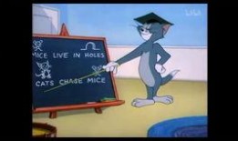 共研服爆料最新信息,揭秘游戏新内容与更新动态