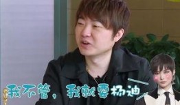 圈内爆料杨迪成真了吗,圈内爆料背后的真相揭晓