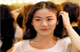 刺猬明星娱乐圈吃瓜