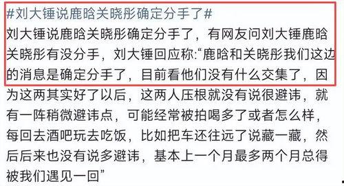 年度报告娱乐吃瓜酱,吃瓜酱带你回顾年度热点事件