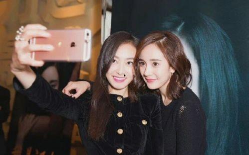 吃瓜娱乐杨幂视频,揭秘明星幕后趣事