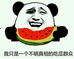 吃瓜群众百度百科,揭秘网络围观现象背后的社会心理