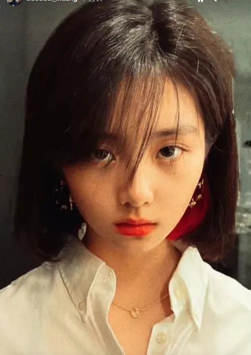 娱乐圈吃瓜水母头